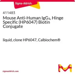 Конъюгат мышиных антител к IgG3 человека (шарнирный) с биотином, клон HP6047