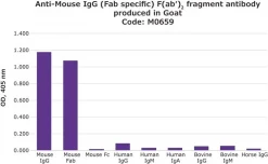 Антитело к мышиному IgG (Fab-специфичное) F(ab')2 фрагмент