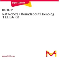 ELISA набор для крысиного белка Robo1 (гомолог Roundabout 1)