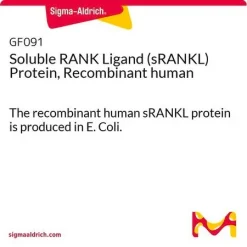 Растворимый лиганд RANK (sRANKL), рекомбинантный человеческий белок