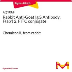 Антитело кролика против IgG козы, фрагмент F(ab')2, конъюгат FITC