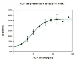 Фактор стволовых клеток человека (SCF), рекомбинантный