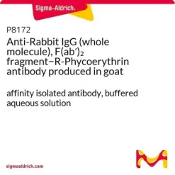 Антитело к IgG кролика (F(ab′)2-R-фикоэритрин, козье)