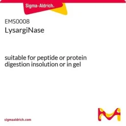 Лизаргиназа (LysargiNase)