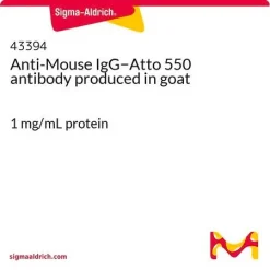 Антитела к IgG мыши с флуорофором Atto 550 (козы)