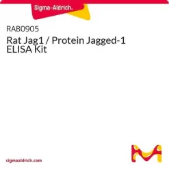 Набор ELISA для Jagged-1 (крысиный)