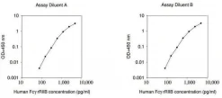 Набор для ИФА Human FcγRIIB/C