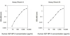 Набор ELISA для человеческого IGFBP-2