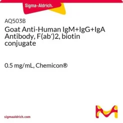 Антитело козье против человеческих IgM+IgG+IgA, фрагмент F(ab')2, конъюгат биотина
