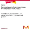 Пироглутамат-аминопептидаза из Pyrococcus furiosus