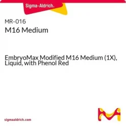 M16 Medium
