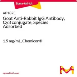 Антитело козье анти-кроличье IgG, конъюгат Cy3, с видовой адсорбцией
