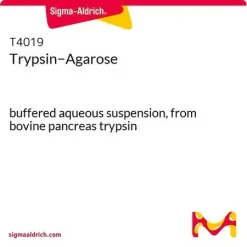 Трипсин-агароза