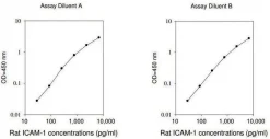 Набор ELISA для ICAM-1 крысы