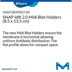 Держатели для блоттинга SNAP id 2.0 Midi (8.5x13.5 см)