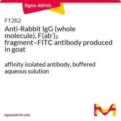 Антитело кроличий IgG (F(ab')2 фрагмент–FITC), поликлональное, полученное на козе