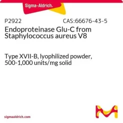 Эндопротеиназа Glu-C (V8 протеаза)