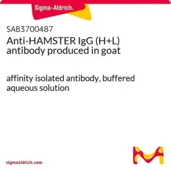 Антитела к IgG хомяка (H+L) (козьи)