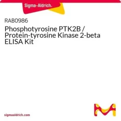 Фосфотирозин PTK2B / Протеин-тирозинкиназа 2-бета, набор ИФА