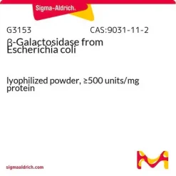 β-Галактозидаза из Escherichia coli