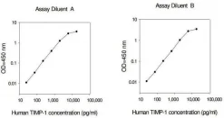 Набор ELISA человеческого TIMP-1