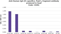 Антитело к IgG человека (Fc-специфичное) F(ab′)2 фрагмент
