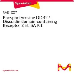 Фосфотирозин DDR2 (рецептор 2, содержащий дискодиновый домен) ELISA набор