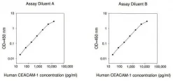 Набор для ИФА (ELISA) человеческого CEACAM-1