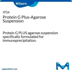 Суспензия Протеин G Плюс-Агароза