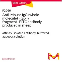 Антитело к IgG мыши (целая молекула) F(ab′)2–FITC