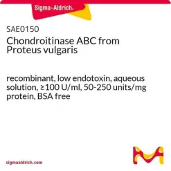 Хондроитиназа ABC рекомбинантная (Proteus vulgaris)