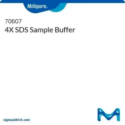 4X SDS буфер для образцов