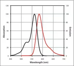 Антитела к IgG козы (H+L), CF™ 568, ослиные