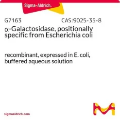 α-Галактозидаза, позиционно специфичная из Escherichia coli