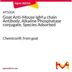Антитело козье против мышиного IgM µ-цепи (конъюгат со щелочной фосфатазой, видовой адсорбции)