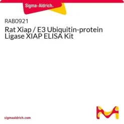 Набор ELISA для крысиного XIAP (E3 убиквитин-протеинлигаза XIAP)