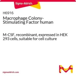 Колониестимулирующий фактор макрофагов человеческий (M-CSF)