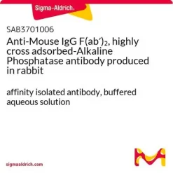 Антитело к IgG мыши F(ab')2, щелочная фосфатаза, конъюгат, высокоперекрестно адсорбированное, полученное из кролика