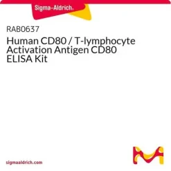 ELISA набор для определения человеческого CD80 (B7-1)