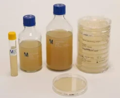 Питательный агар PCA (Plate Count Agar)