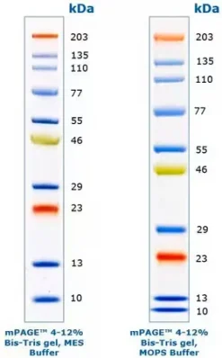mPAGE Color Protein Standard
