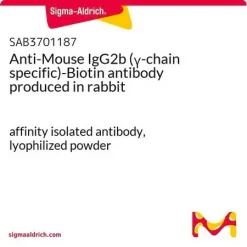 Антитело к IgG2b мыши (γ-цепь), биотинилированное, кроличье