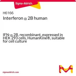 Интерферон альфа-2B человеческий
