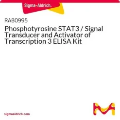 Фосфотирозин STAT3 / Сигнальный преобразователь и активатор транскрипции 3 ELISA Kit