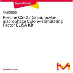ELISA набор для CSF2 (гранулоцитарно-макрофагальный колониестимулирующий фактор) свиньи