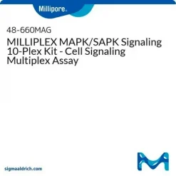Панель сигнализации MAPK/SAPK