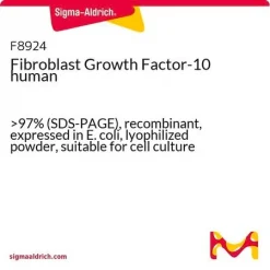 Фактор роста фибробластов 10 человека