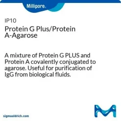 Protein G Plus/Protein A-Agarose
