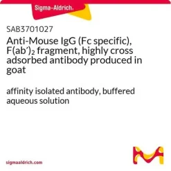 Антитело к IgG мыши (Fc) F(ab')2 фрагмент, высокоперекрестно адсорбированное