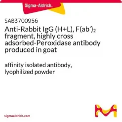 Антитело к IgG кролика (H+L), фрагмент F(ab')2 с пероксидазой (HRP), козье